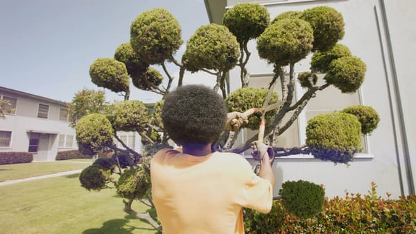 A man pruning a tree with branches looking like his afro hair. 